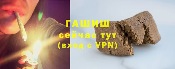 прущие грибы Бугульма